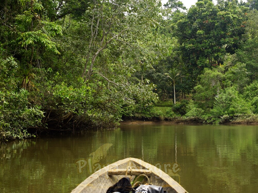 ¿Cómo reducir tu impacto ecológico cuando viajas?