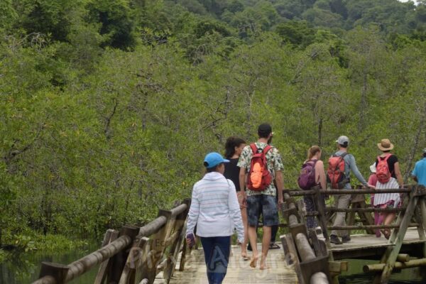 Excursión a Utria Bahía Solano